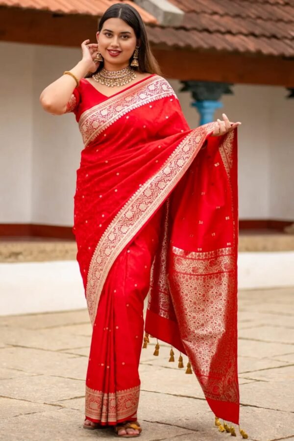 Red pattern silk saree